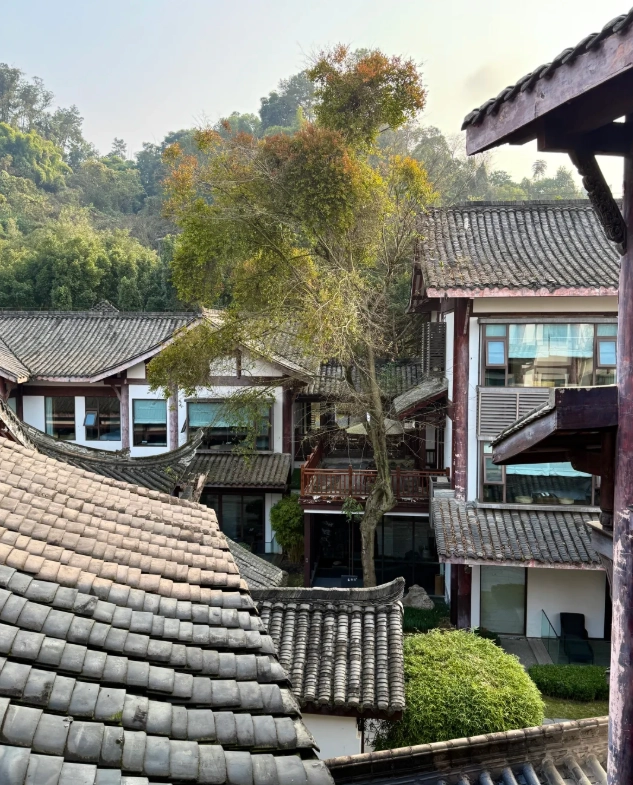 where to stay near Leshan Giant Buddha where to stay near Leshan Giant Buddha