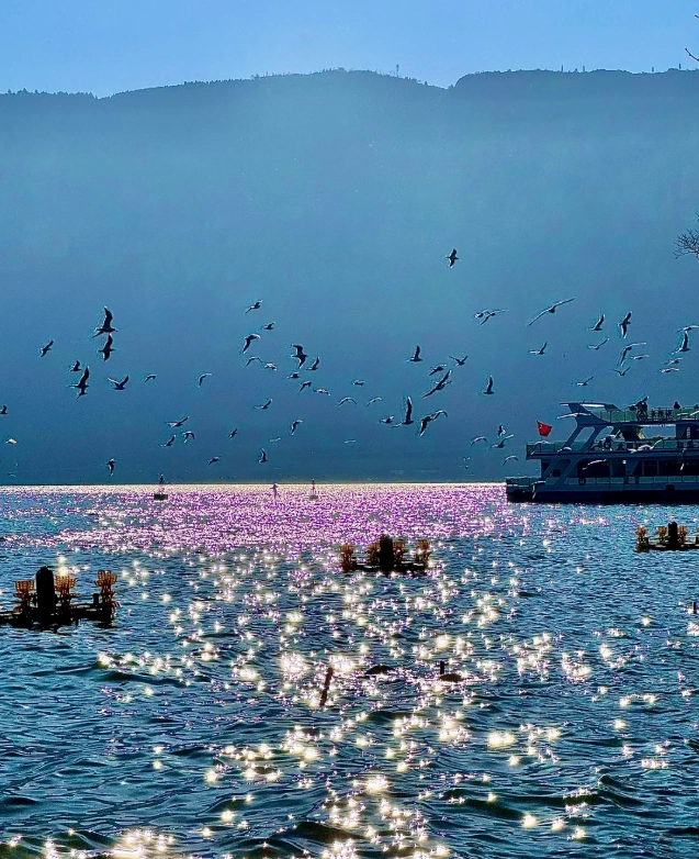 dianchi lake boat tour dianchi lake boat tour