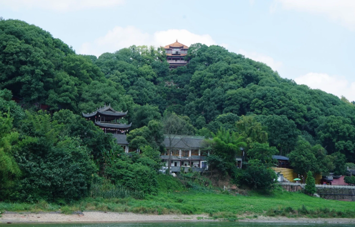 leshan giant buddha from chengdu