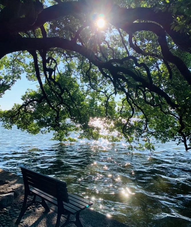 West Lake itinerary