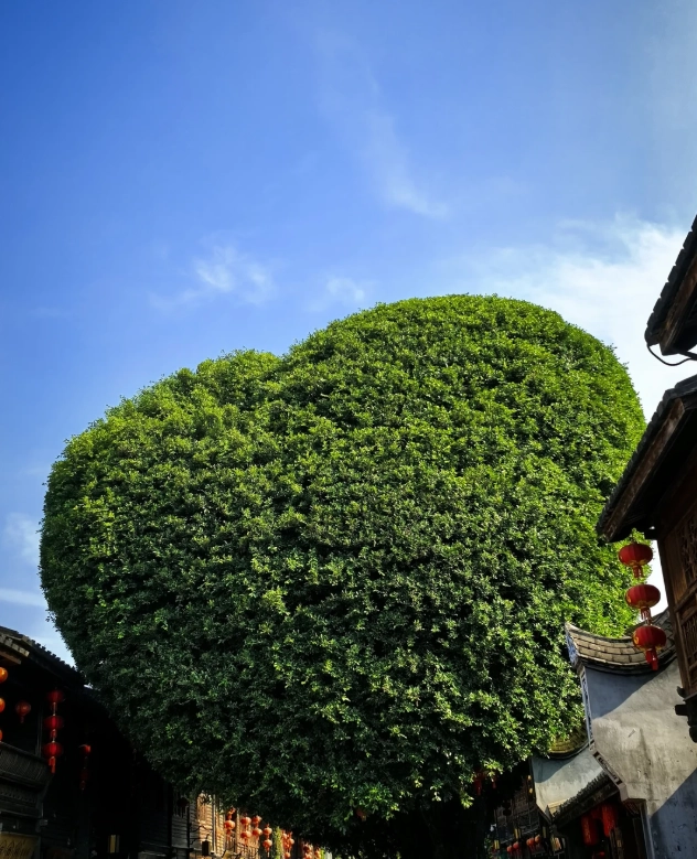 is sanfang qixiang worth it
