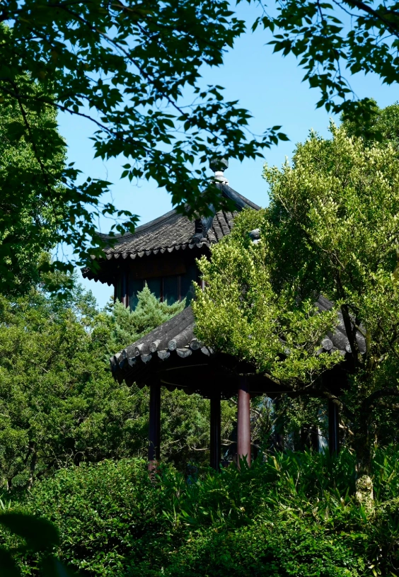 humble administrator's garden best time to visit humble administrator's garden best time to visit