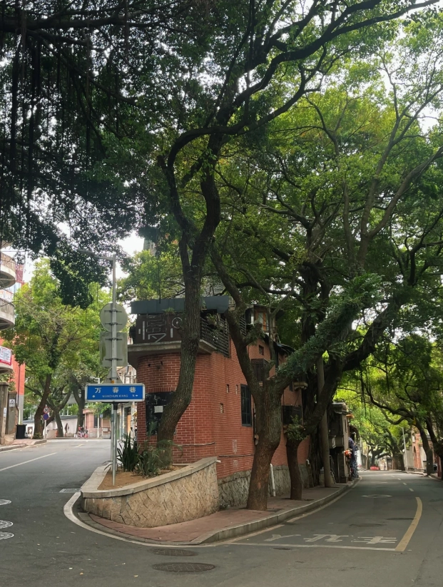 Yantai Mountain best time to visit Yantai Mountain best time to visit