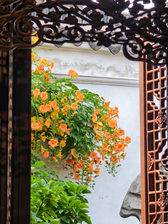 how to visit Master of the Nets Garden