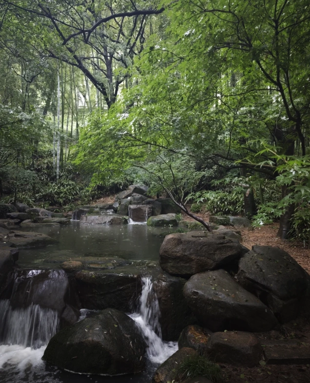 Tiger Hill guided tour