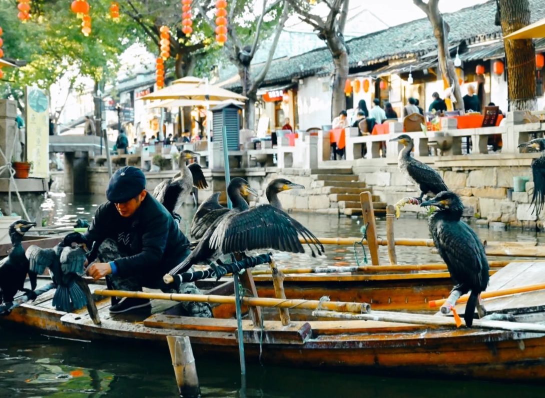 Tongli Water Town visit duration