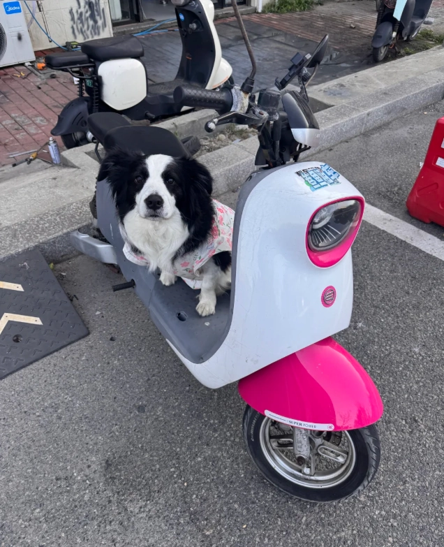 scooter rental Fujian