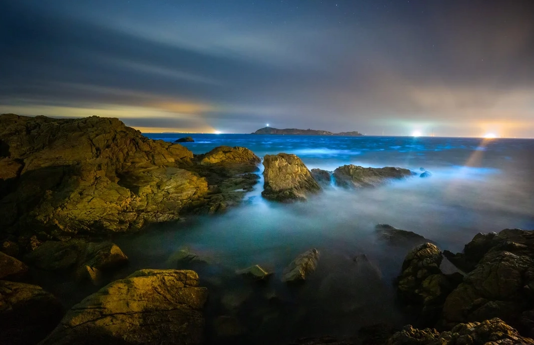 Pingtan Island bioluminescence