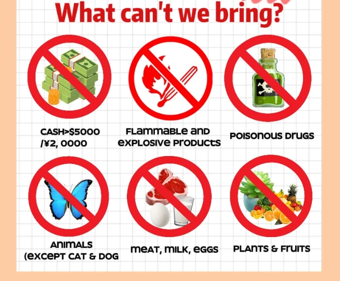 china customs prohibited items