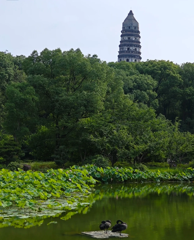 Tiger Hill Suzhou itinerary