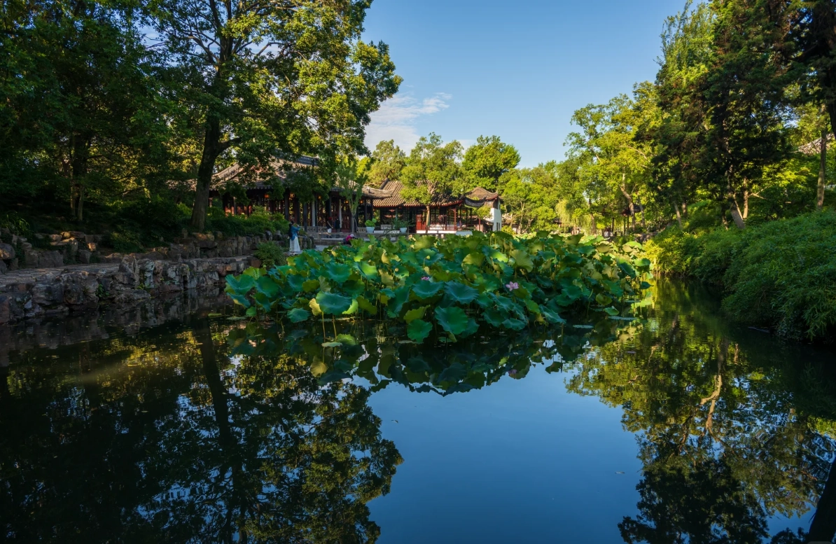 photographing Humble Administrator's Garden