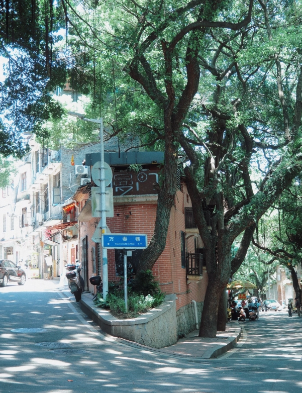 Best Time to Visit Yantai Mountain: Avoid Crowds & Bad Weather