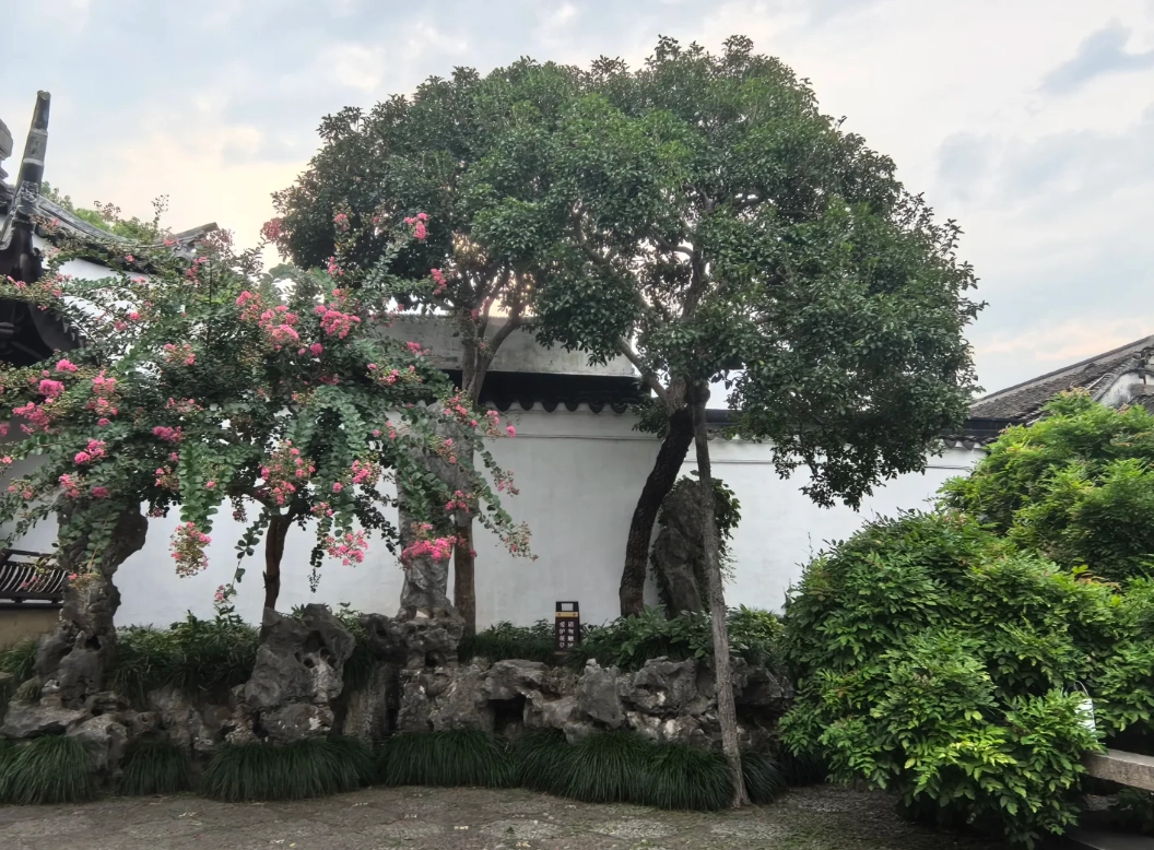 best photography spots Suzhou best photography spots Suzhou