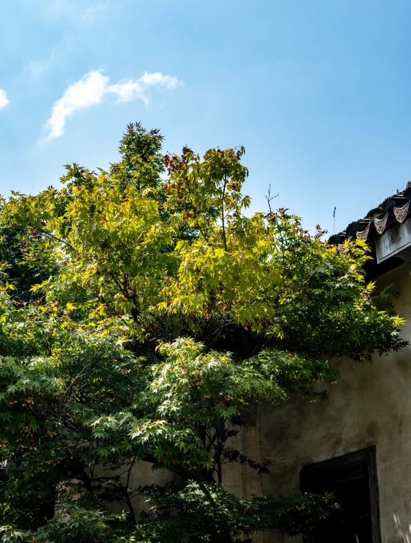 Suzhou garden performance ticket