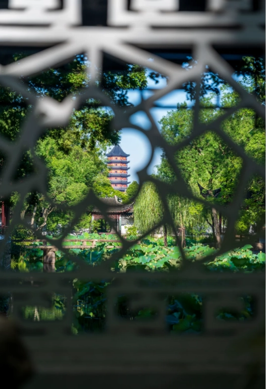 Suzhou garden photography
