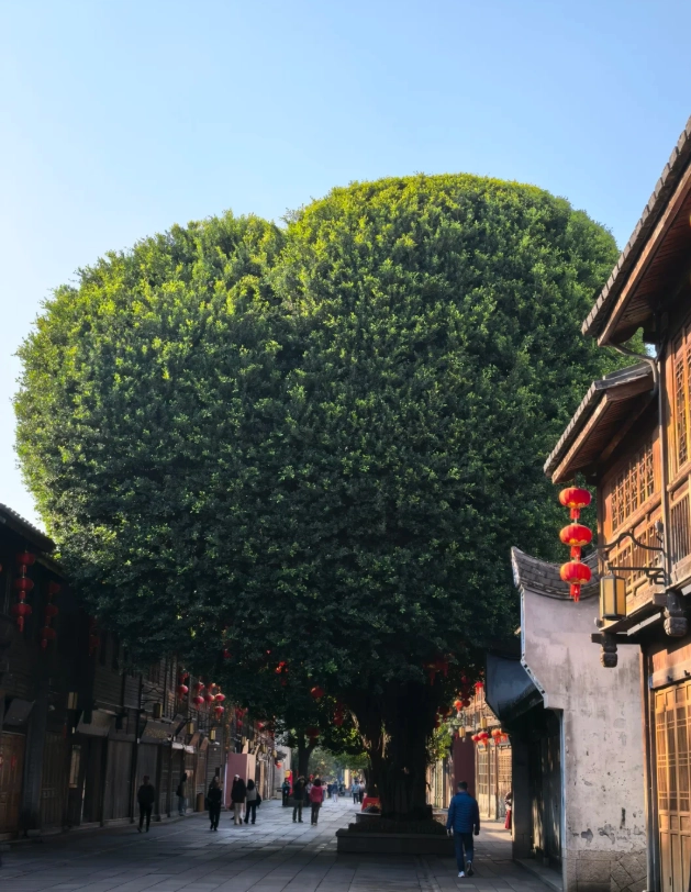 Fuzhou walking tour Fuzhou walking tour