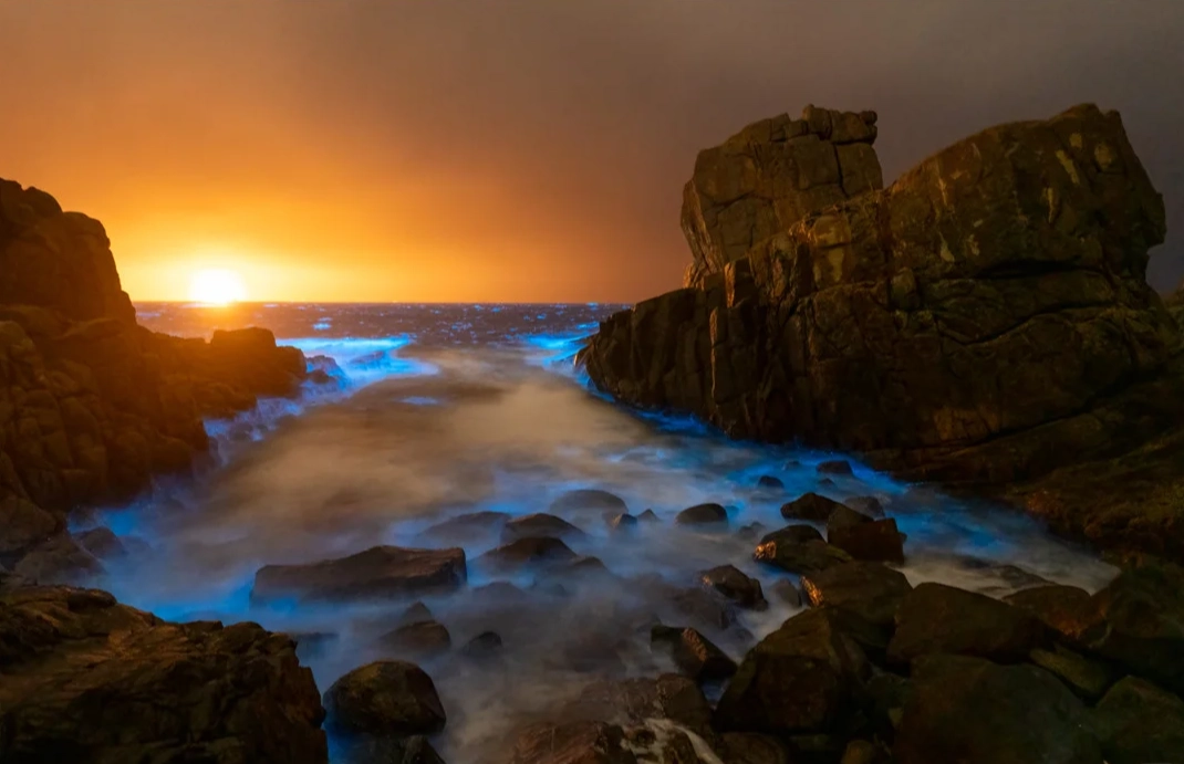 Best time to see blue tears Pingtan