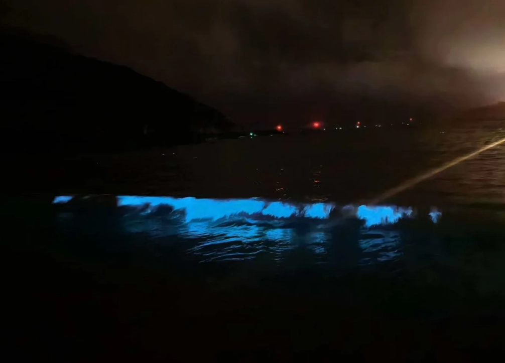 how to see blue tears china how to see blue tears china