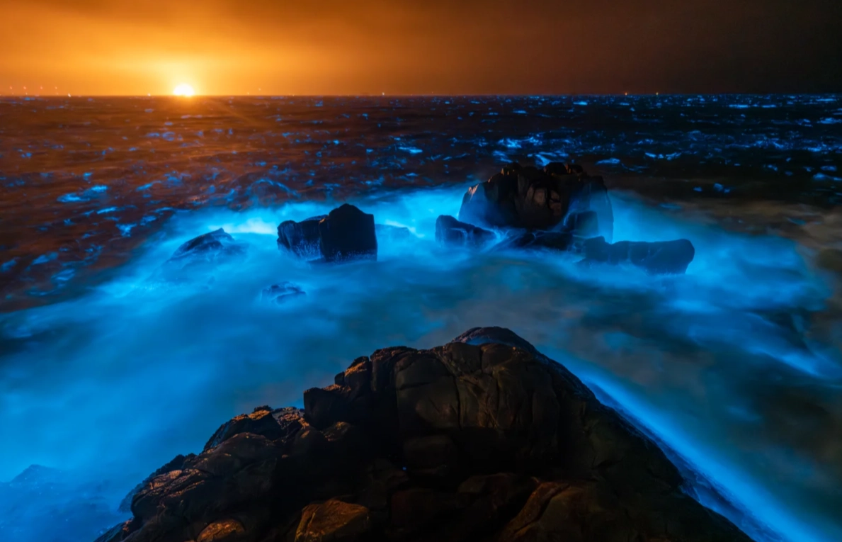 Blue tears season China
