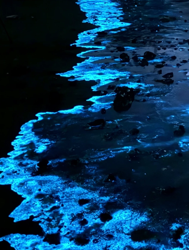 pingtan blue tears season pingtan blue tears season