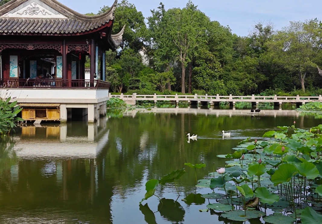 Tiger Hill Suzhou tips
