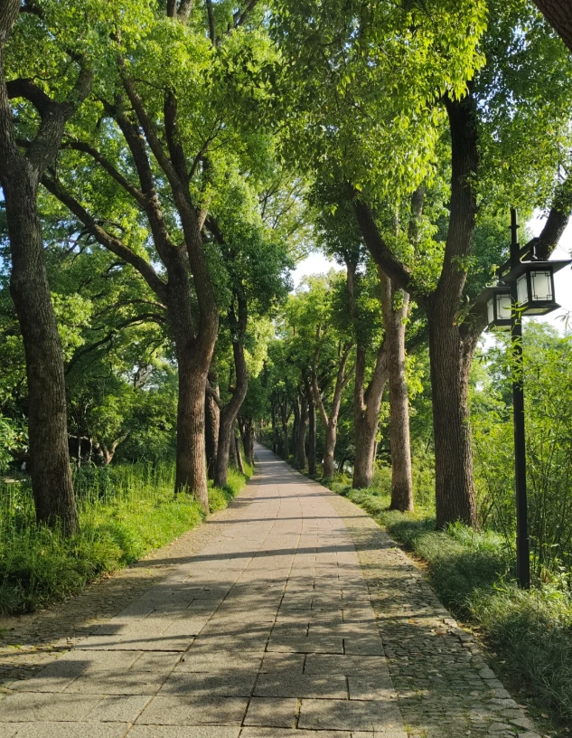 Tiger Hill Suzhou opening hours