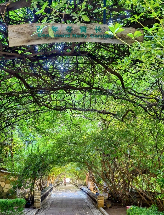 Yantai Mountain sunset spots Yantai Mountain sunset spots