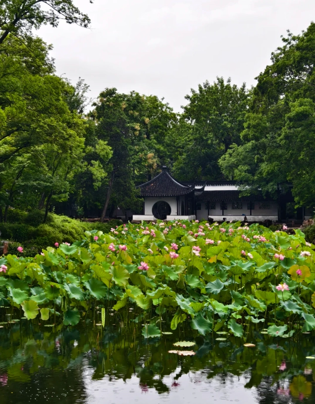 Suzhou garden guided tour