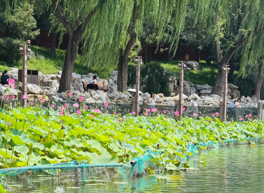 Beihai Park best time to visit Beihai Park best time to visit