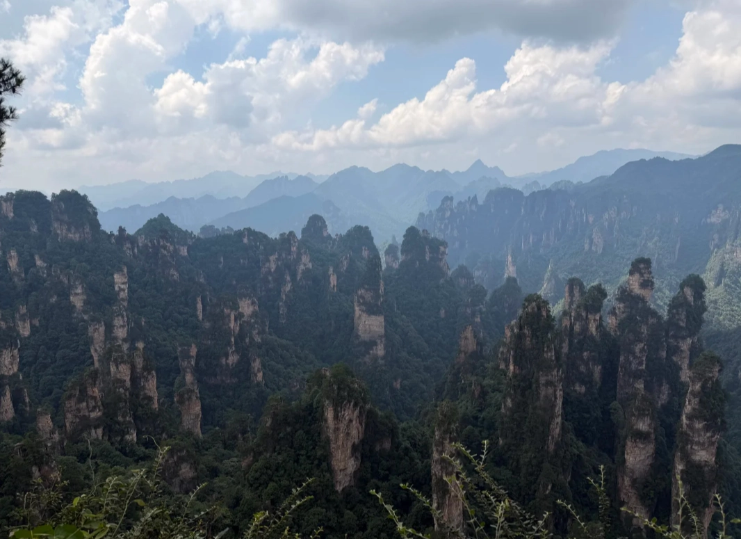 Zhangjiajie park pass Zhangjiajie park pass