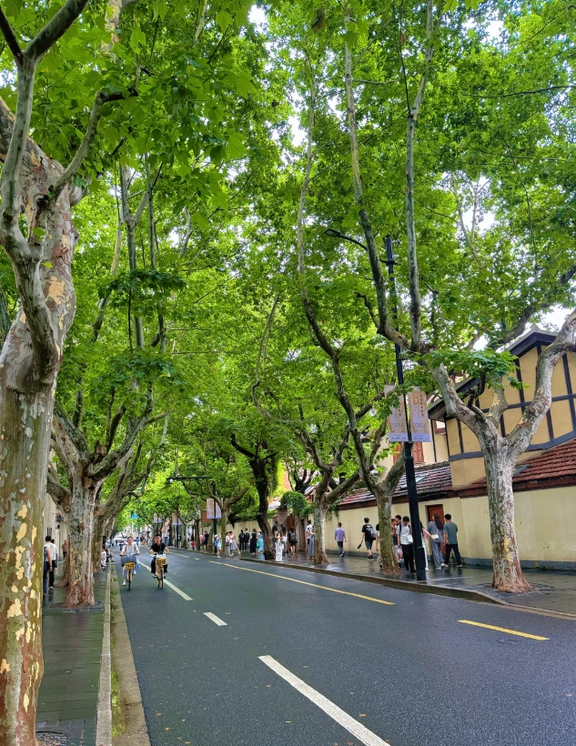 Wukang Road Photography Spots: Capture Shanghai's Best Architecture