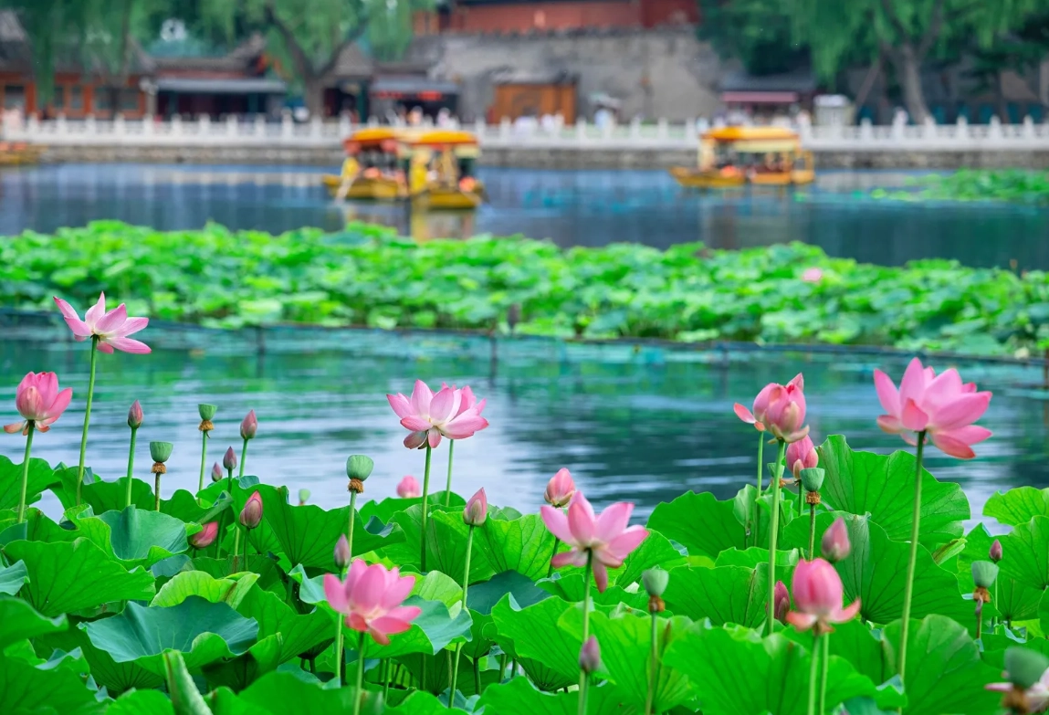 Beihai Park guided route Beihai Park guided route