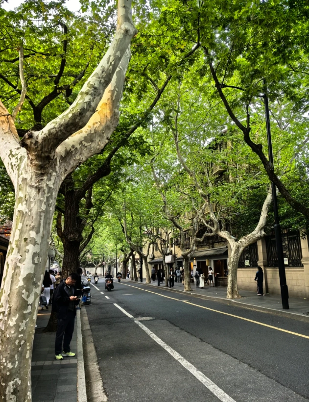 when to go wukang road when to go wukang road