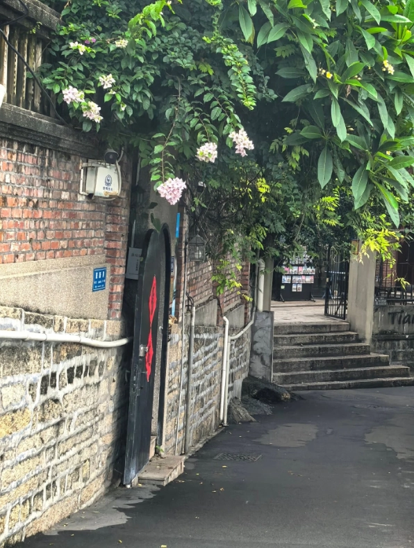 Gulangyu Island tour tips Gulangyu Island tour tips