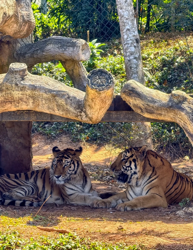 Hainan Tropical Wildlife Park navigation