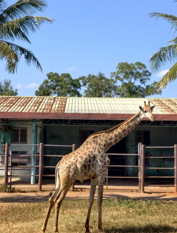 Hainan wildlife park guide