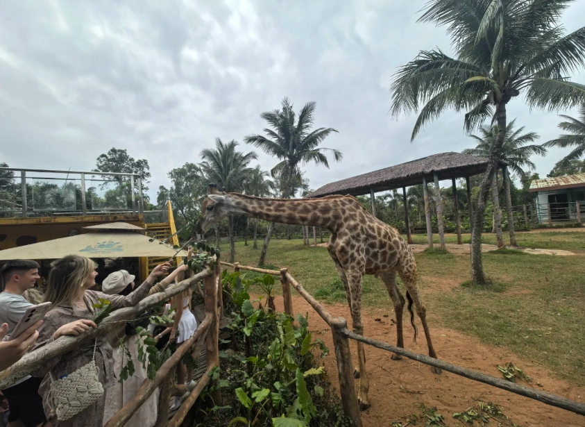 wildlife park China