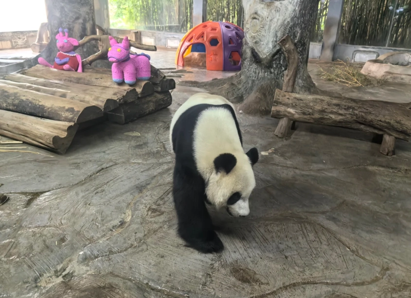 Haikou family attractions