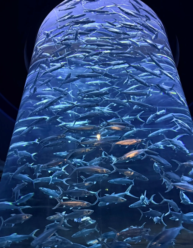 Ocean Park Hong Kong guide