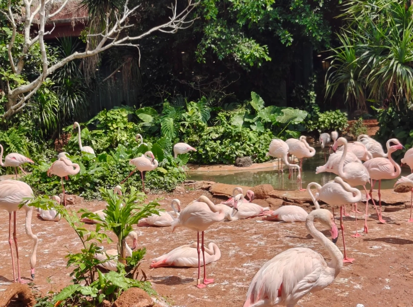 Hainan travel guide