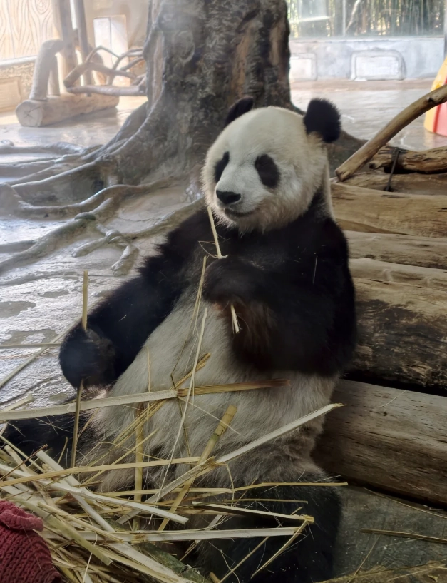 Haikoo zoo tickets