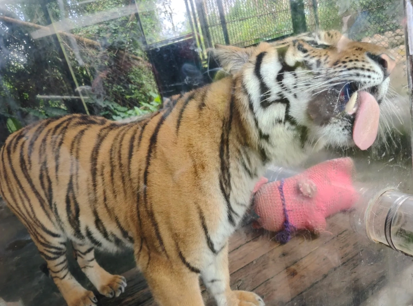 Hainan Tropical Wildlife Park tickets