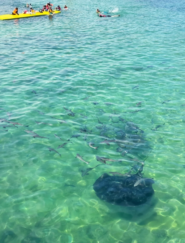 scuba diving Sanya