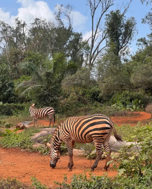 Hainan Tropical Wildlife Park tickets Hainan Tropical Wildlife Park tickets