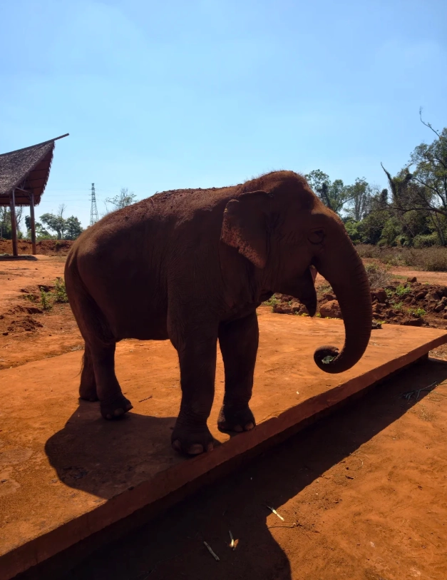 hainan wildlife park weather