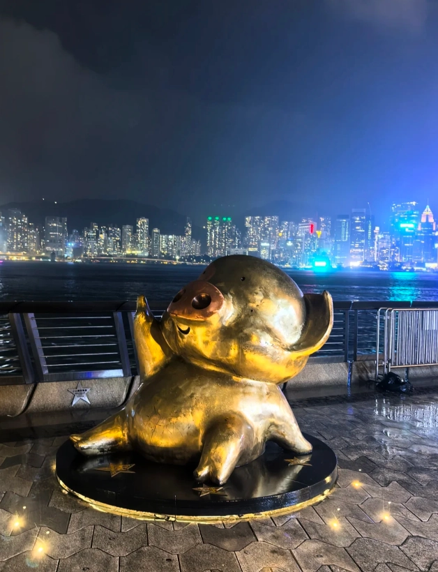 Symphony of Lights cruise