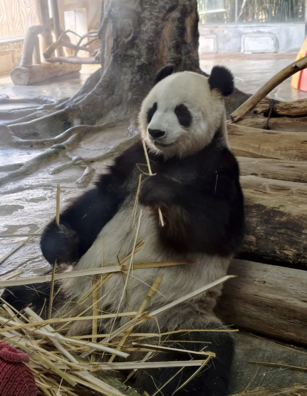 hainan tropical wildlife park tips