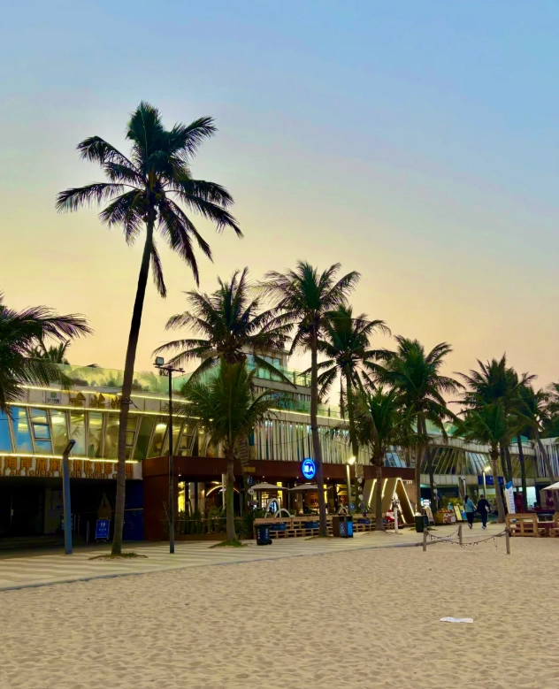 How to Get to Holiday Beach Haikou by Bus: Avoid Tourist Traps & Save Money