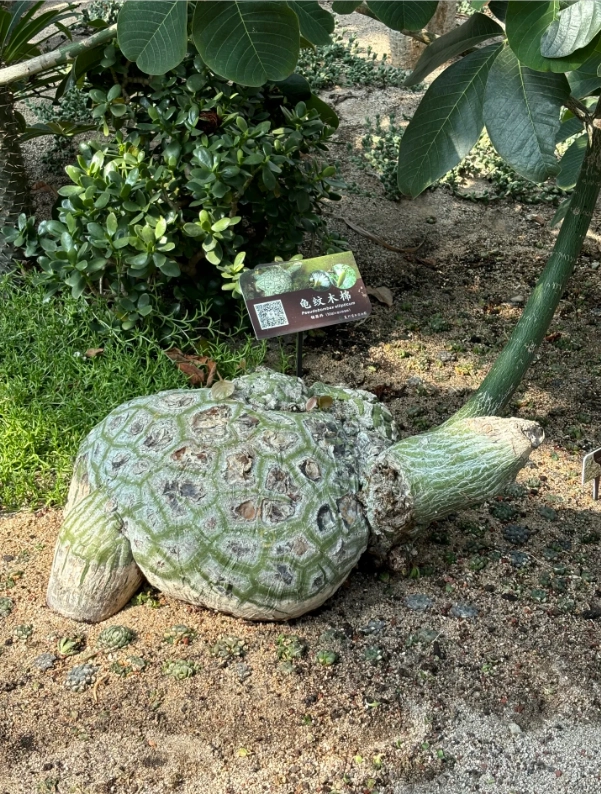 Xiamen botanical garden things to do Xiamen botanical garden things to do