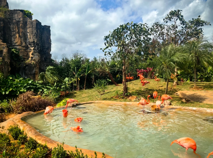 Hainan Tropical Wildlife Park directions